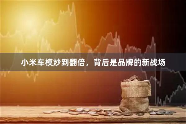 小米车模炒到翻倍，背后是品牌的新战场