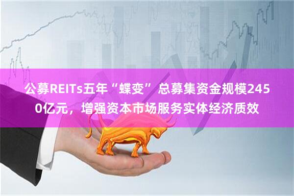 公募REITs五年“蝶变” 总募集资金规模2450亿元，增强资本市场服务实体经济质效