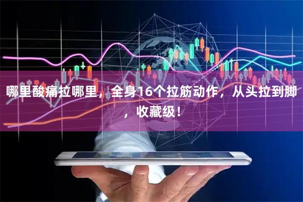 哪里酸痛拉哪里，全身16个拉筋动作，从头拉到脚，收藏级！
