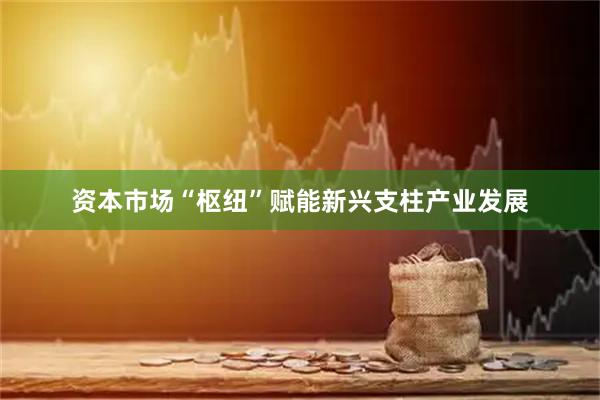 资本市场“枢纽”赋能新兴支柱产业发展